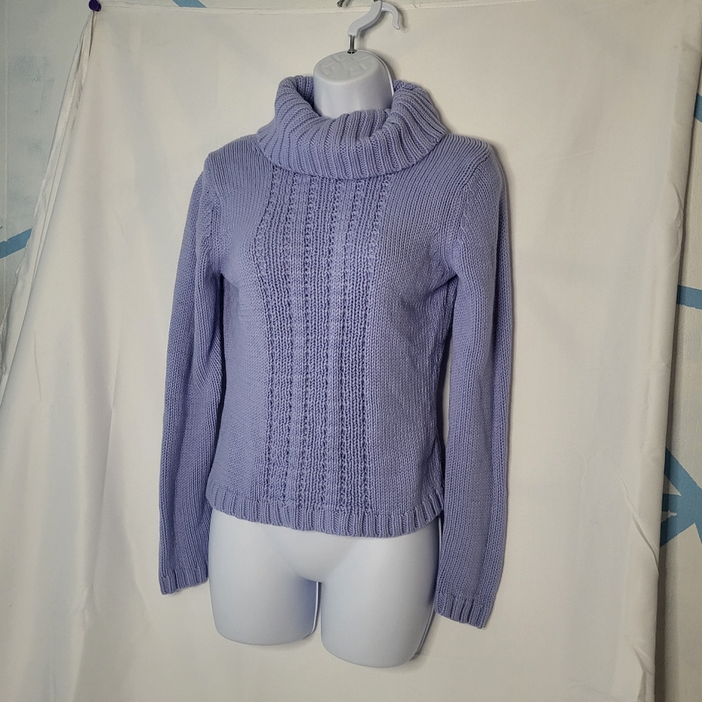 Ann taylor sweater